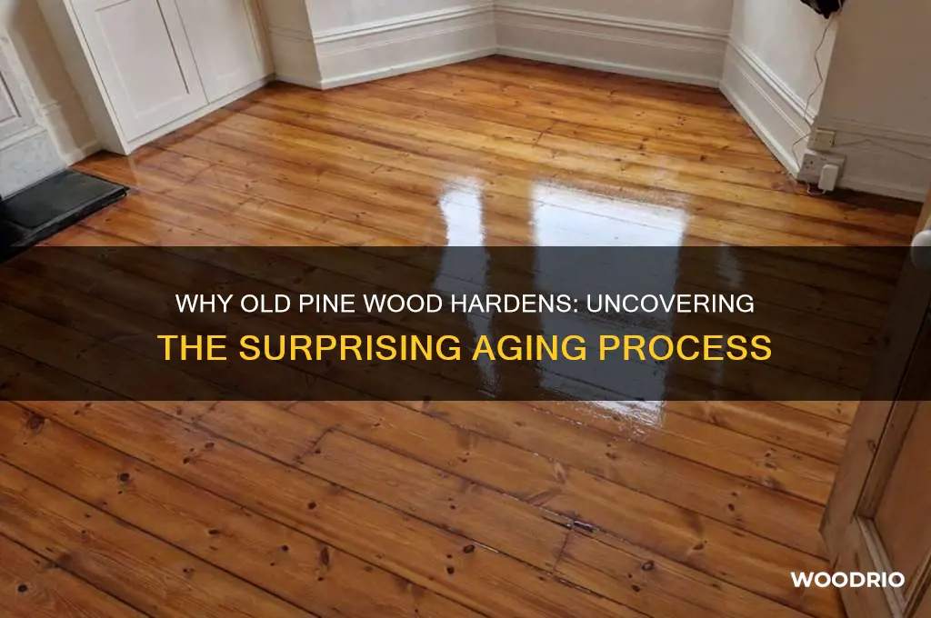 why is my old pine wood so hard