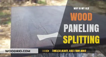 Why Old Wood Paneling Splits: Causes and Solutions Explained