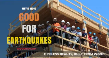 Resilience in Timber: Why Wood Construction Excels During Earthquakes