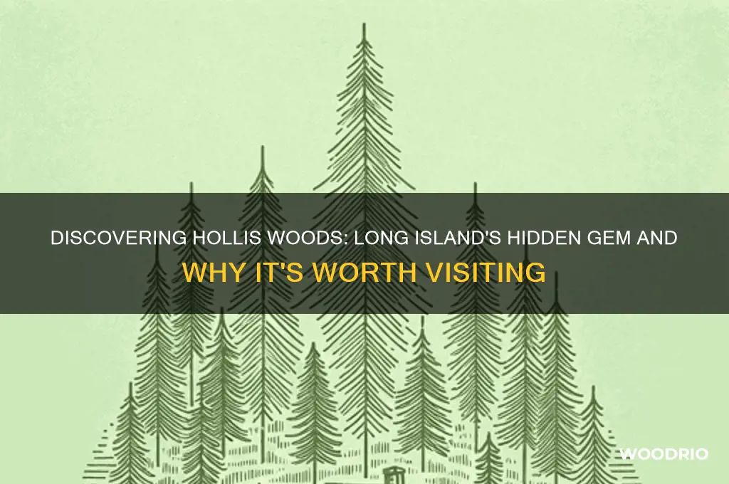 why long island hollis woods