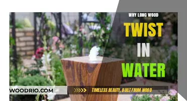 Why Long Wood Twists in Water: Unraveling the Natural Phenomenon