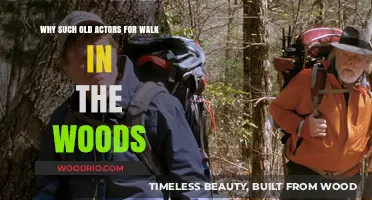 Why Cast Older Actors in 'A Walk in the Woods'?