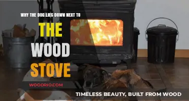 Cozy Canine: Why Dogs Love Lounging by the Wood Stove