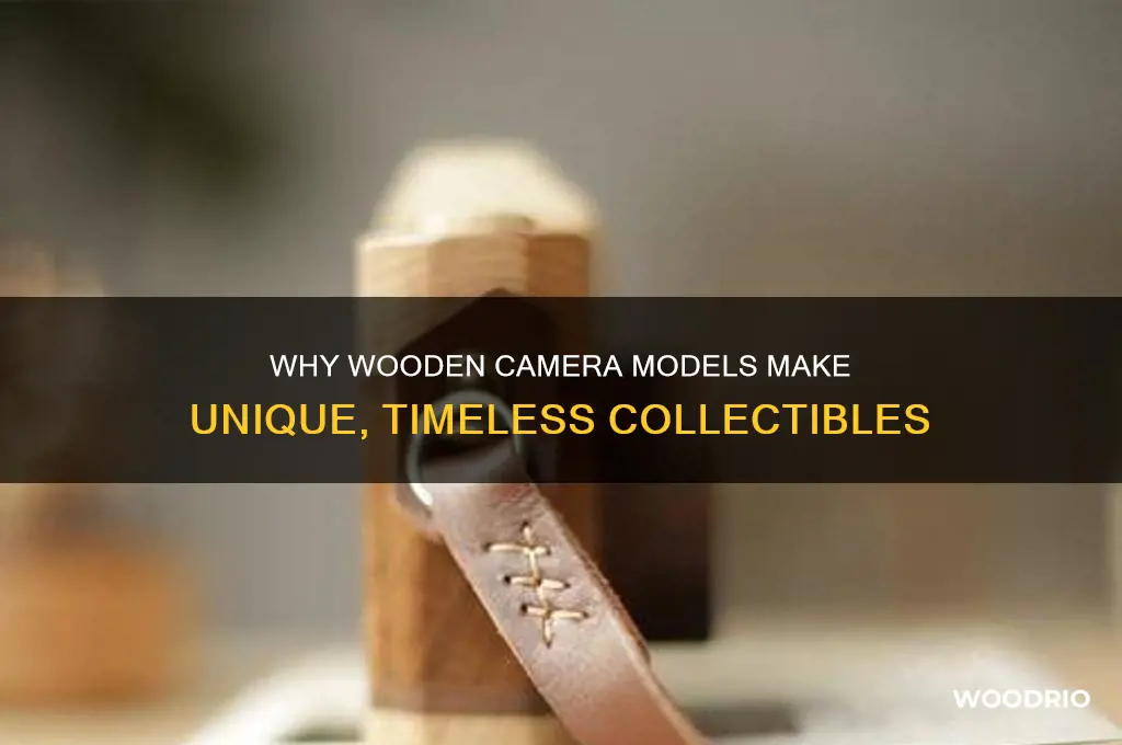 why would someone buy a wooden camera model