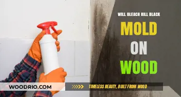 Effective Mold Remediation: Can Bleach Eliminate Black Mold on Wood?