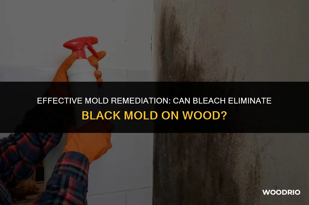 will bleach kill black mold on wood