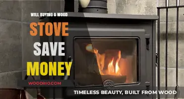 Can a Wood Stove Cut Your Heating Costs? A Money-Saving Analysis