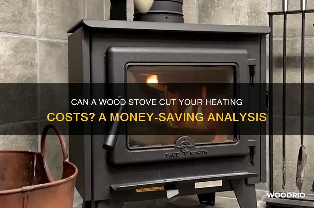 will buying a wood stove save money