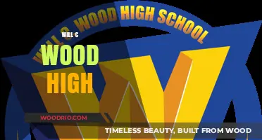 Exploring the Potential: Can C Wood High Revolutionize Education?