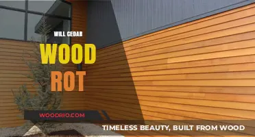 Will Cedar Wood Rot? Understanding Its Durability and Uses