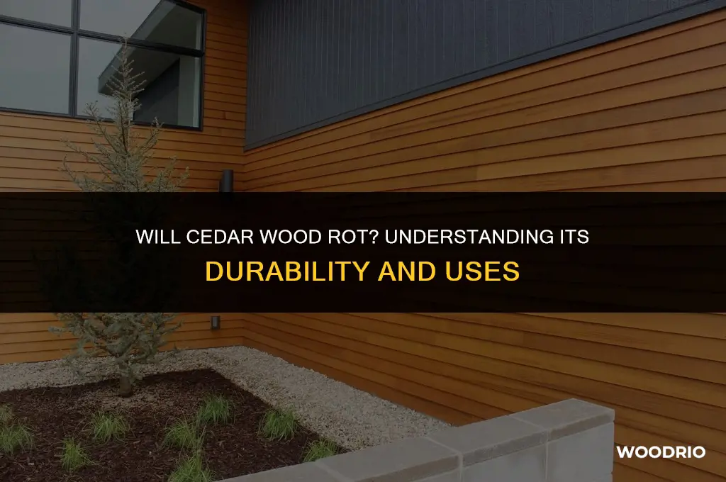 will cedar wood rot