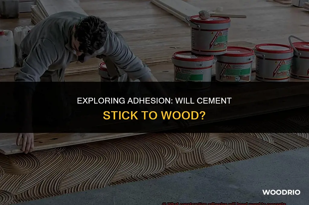 will cement stick to wood