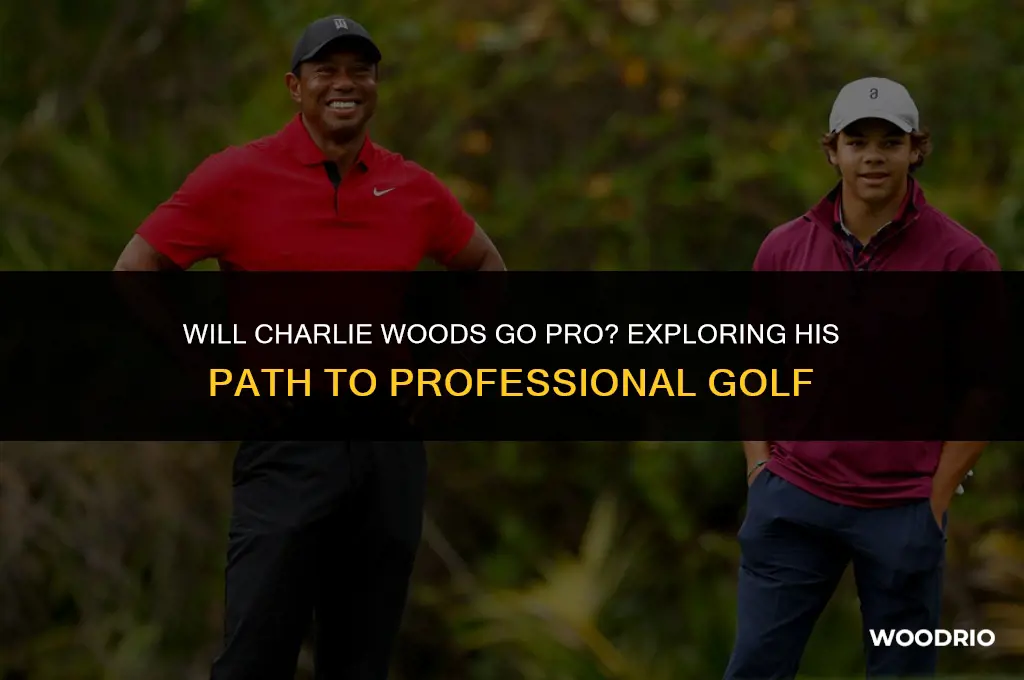 will charlie woods go pro