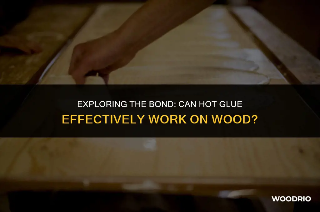 will hot glue work on wood
