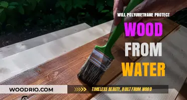 Shielding Wood: The Water-Resistant Promise of Polyurethane