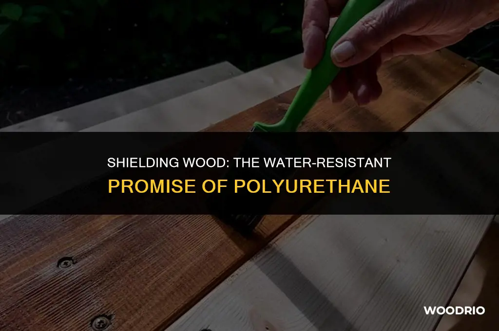 will polyurethane protect wood from water