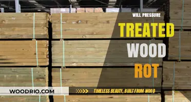 Decaying Pressure Treated Wood: Facts, Myths, and Prevention Tips