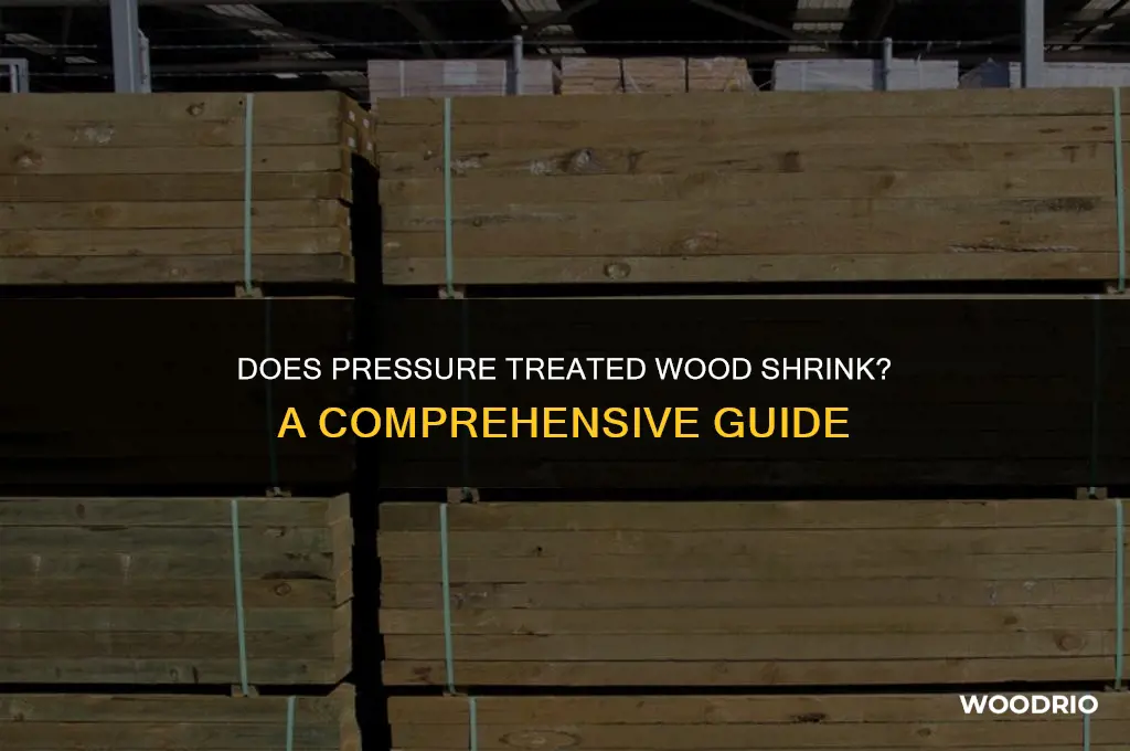 will pressure treated wood shrink