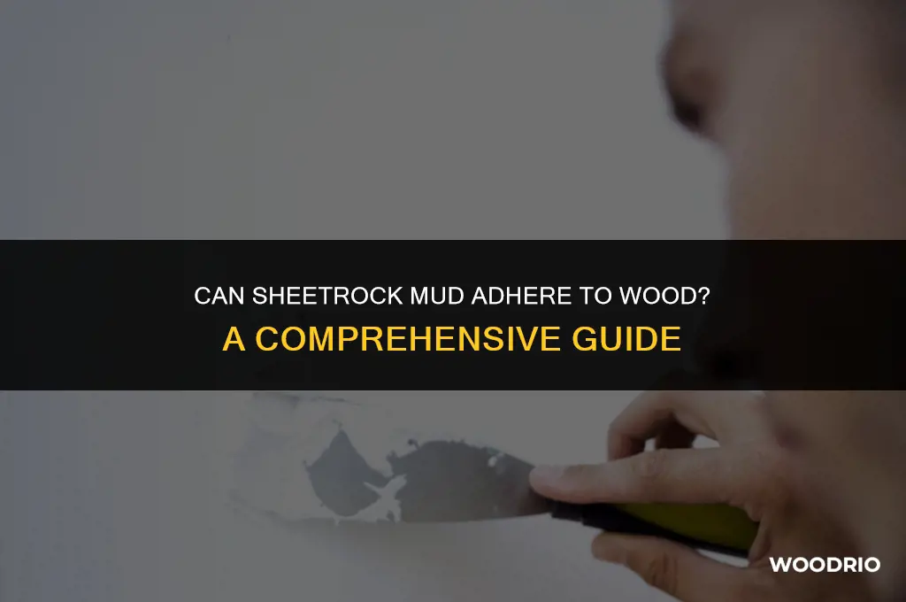 will sheetrock mud stick to wood