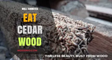 Will Termites Feast on Cedar Wood? A Comprehensive Guide