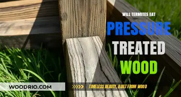 Will Termites Feast on Pressure-Treated Wood? The Truth Revealed