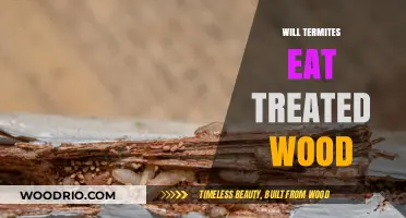 Will Termites Feast on Treated Wood? A Homeowner's Guide