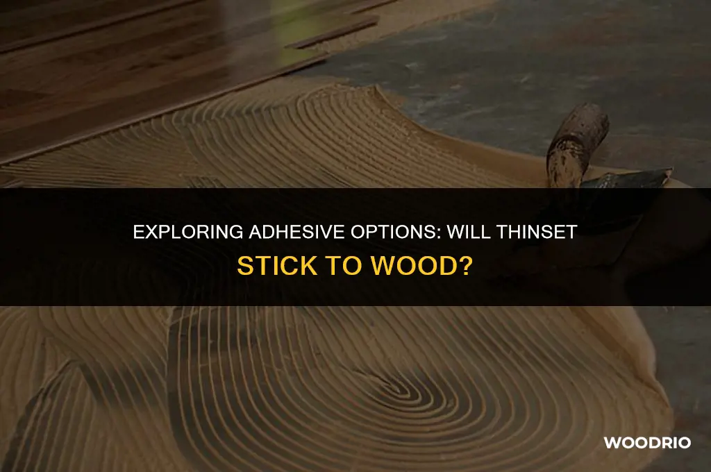 will thinset stick to wood