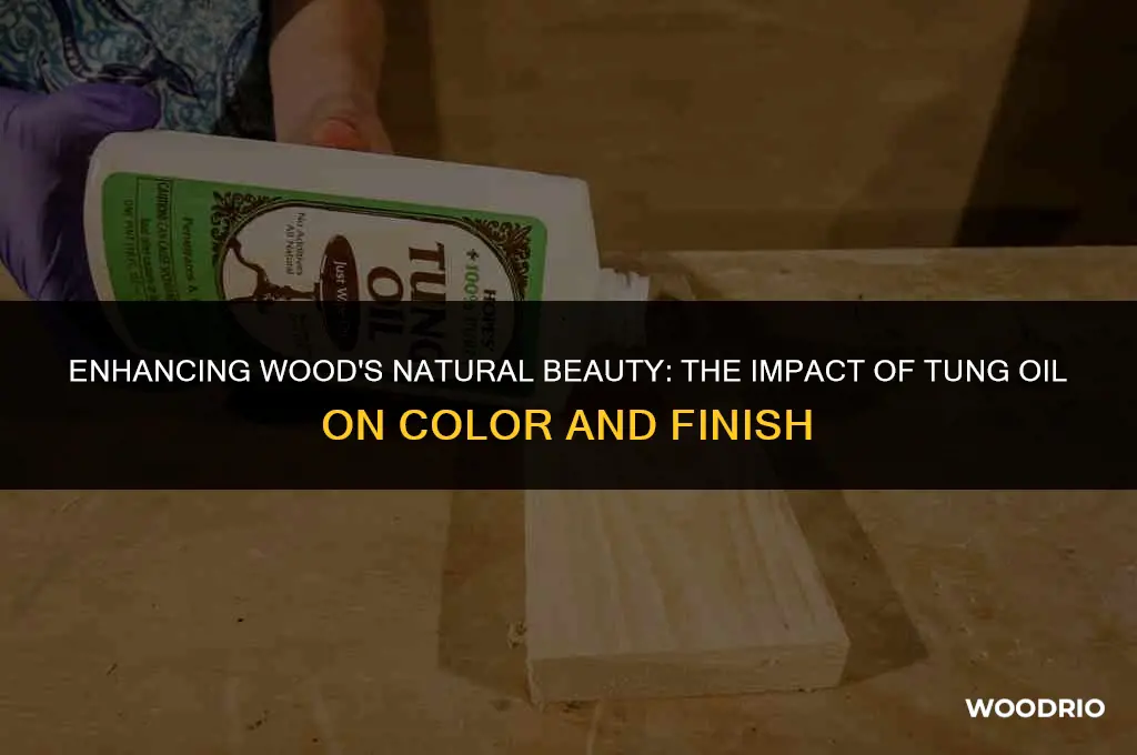 will tung oil darken wood