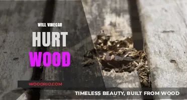 Exploring the Effects of Vinegar on Wood Surfaces