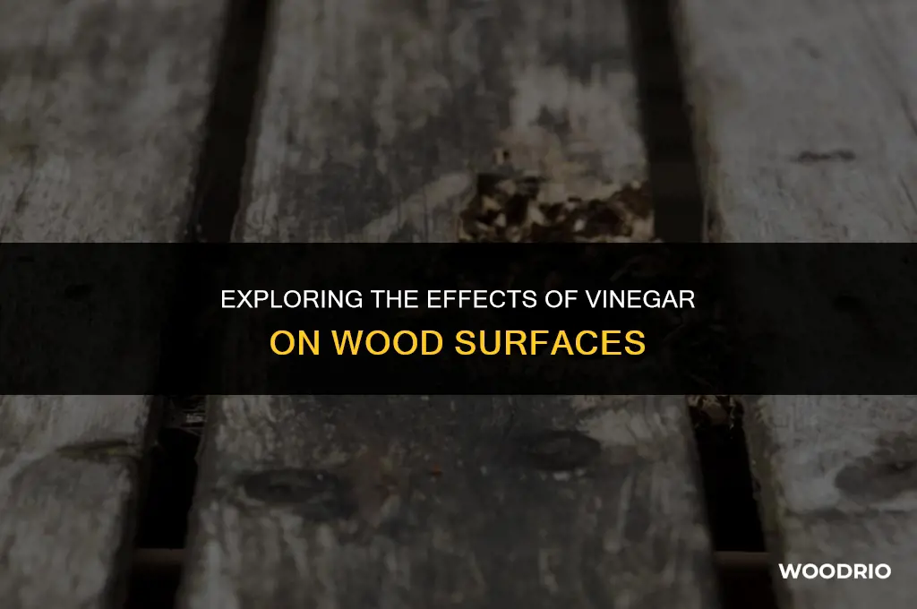 will vinegar hurt wood
