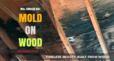Vinegar's Power: A Natural Solution to Mold on Wood Surfaces