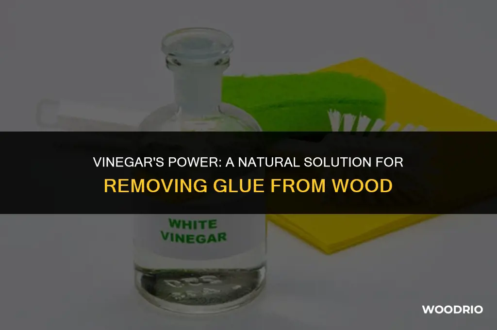 will vinegar remove glue from wood