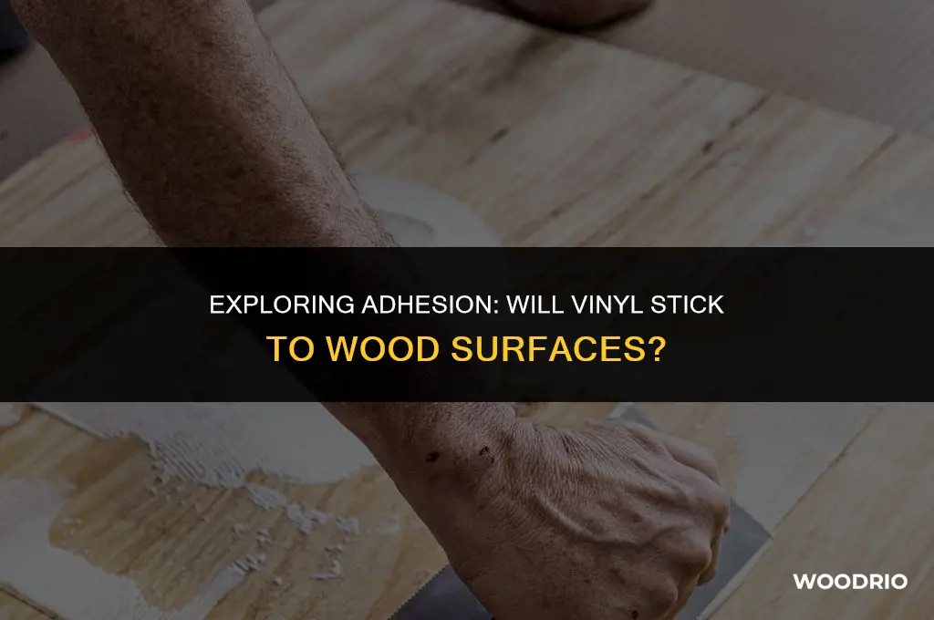 will vinyl stick to wood