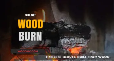 Exploring the Combustibility of Wet Wood: Facts and Myths