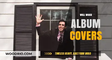 Exploring the Artistic Evolution of Will Wood's Album Covers