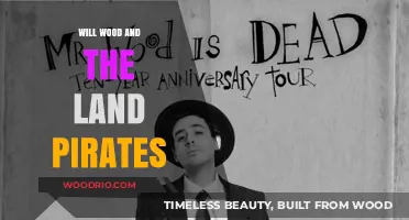 Sailing the Seas of Sound: Will Wood and the Land Pirates