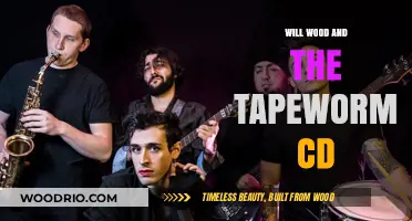 Exploring the Sonic Universe of Will Wood and the Tapeworms' CD