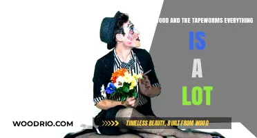 Exploring the Sonic Universe of Will Wood and the Tapeworms