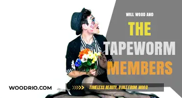 Exploring the Musical Journey of Will Wood and the Tapeworms
