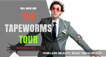 Will Wood and the Tapeworms Tour: A Journey Through Quirky Indie Rock