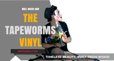 Exploring the Groovy World of Will Wood and the Tapeworms Vinyl