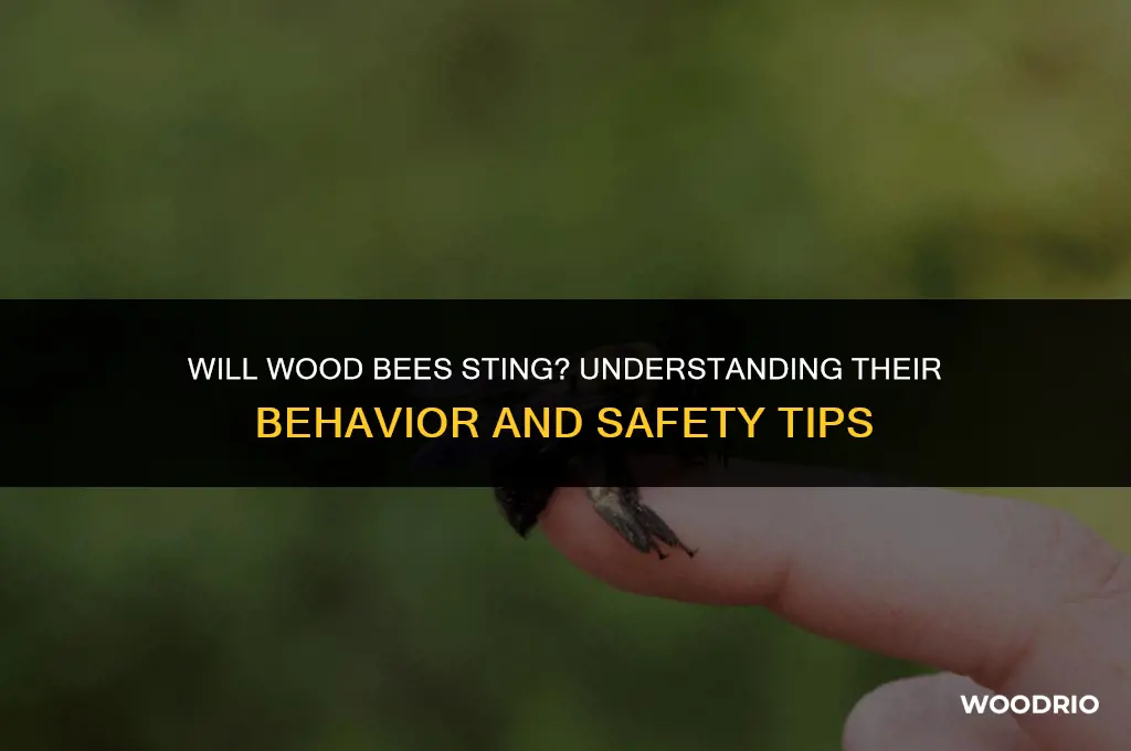 will wood bees sting