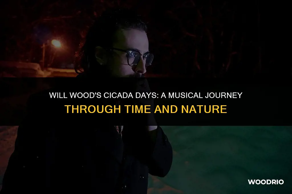 will wood cicada days