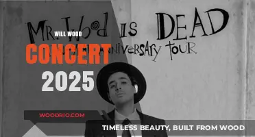 Will Wood's 2025 Concert: A Night to Remember