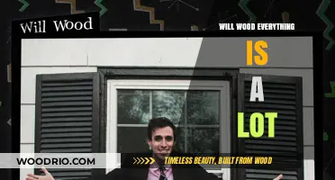 Exploring the Profound Simplicity of Will Wood's 'Everything is a Lot