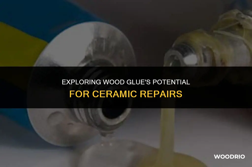 will wood glue work on ceramic