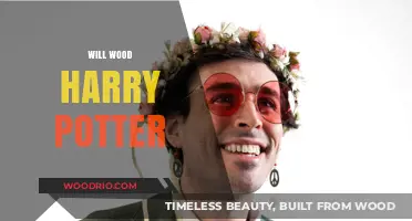 Enchanted Adventures: Will Wood's Magical Journey in Harry Potter