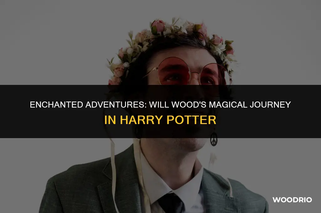 will wood harry potter