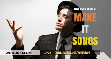 Crafting Melodies: The Art of Songwriting with Will Wood