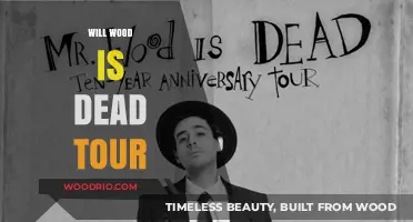 Exploring the Enigma: Will Wood's 'Is Dead' Tour Unveiled
